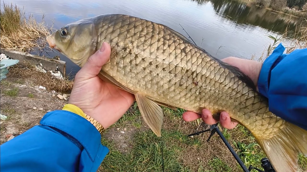 Method Feeder Com mini Pellets 