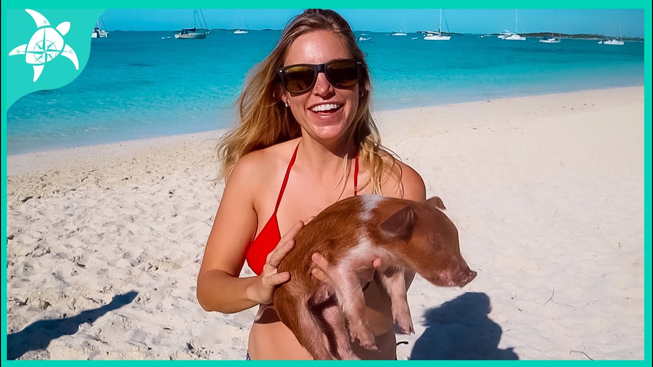 Huge Pigs & Exploring Thunderball Grotto in the Exumas Bahamas