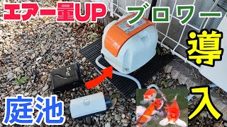 【エアー強化】池のエアーポンプをブロワーに変更します（AP-40P）