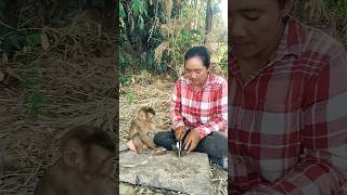 Best Of Cute Sokhaa And Fun , Adorable Animal Will Make You Smile