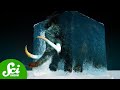 Understanding Permafrost and Its Impact