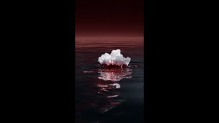 The Legal Frontier: Who Owns the Arctic Seabed?