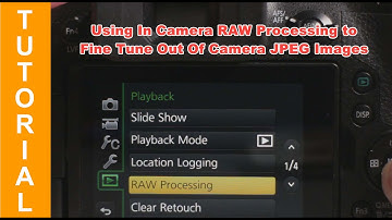 Panasonic Lumix Bridge Cameras - In Camera RAW Processing