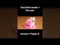 【ASMR】Your birth month = Your pet 🐶🐱🐼🐧 Which one is yours? #asmrsounds​ #oddlysatisfying