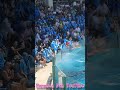 サマースプラッシュ #Shorts #鴨川シーワールド #シャチ #kamogawaseaworld #orca #killerwhale