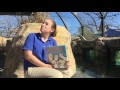Read Across America Video with Little Rock Zoo Penguins