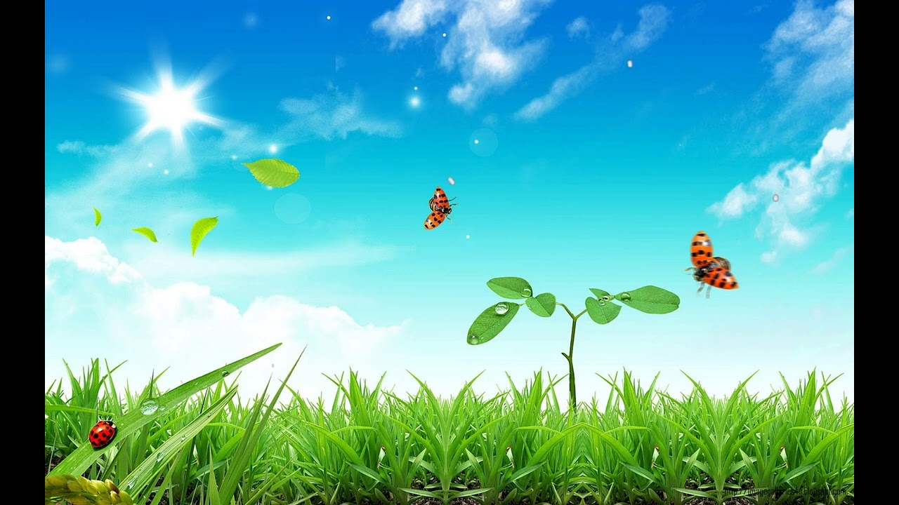 It's Done  Bernard Rodriguez Jovanni Mcgrath Pedro Wyatt Amy Morse Nyasia Cole