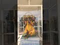 Hanuman chalisa Lakshman dham mandir pooja, लक्ष्मण धाम मंदिर हनुमान चालीसा