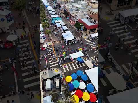 NEW: La Jolla Art & Wine FestivalOctober 10–11 | FREE #daygoworld