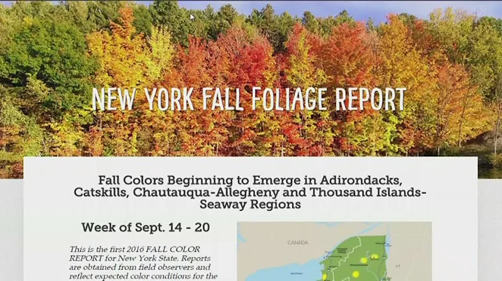 Drought impacts fall foliage