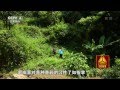多彩贵州系列片（1）——泡在木桶里的村庄 【走遍中国20150715】720P