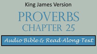 Proverbs 25 | KJV DRAMATIZED AUDIO BIBLE WITH TEXT
