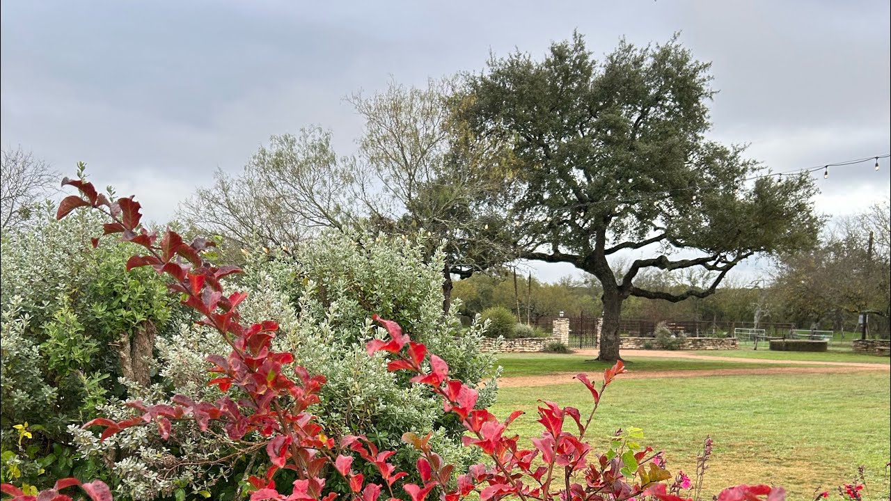 دعاء بصوت د.ريما الهويش مع تحفيز ثنائي متبادل للشعور بالهدوء