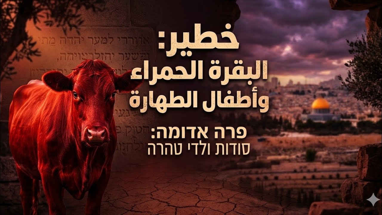 عااااجل وخطير: حصول إسرائيل على البقرة الحمراء وقصة أطفال الطهارة | حقائق تنشر لايعرفها الكثيرين...