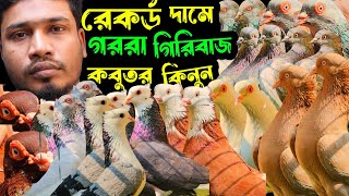 রেকর্ড পরিমান কমদামে চিলা,গররা,কালদম,হাইফ্লায়ার কবুতর কিনুন | বাকবাকুম পায়রা | Pigeon |