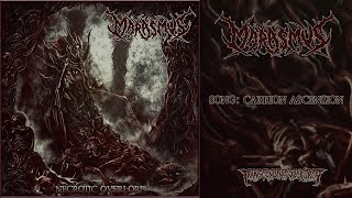 Marasmus (US) - Carrion Ascension (Death Metal) Transcending Obscurity #deathmetal