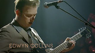 Edwyn Collins - The Campaign For Real Rock (Pennis Pops Out, Aug 24th, 1995)