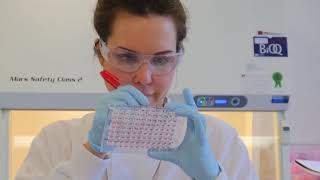 hVIVO secure MHRA approval to start Codagenix COVID-19 Phase I Vaccine Trial - BRR Media