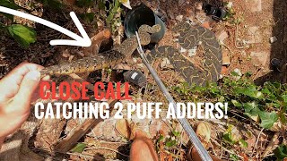 Everything went wrong while rescuing these snakes! Could have ended badly!