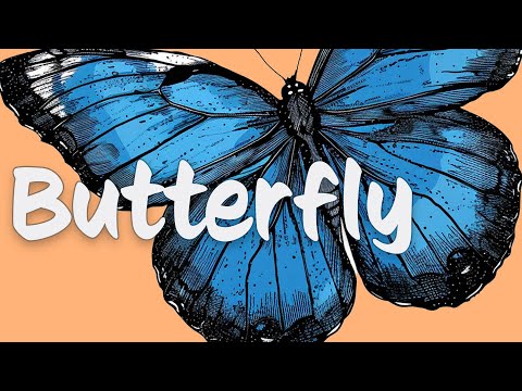 Butterflies and Metamorphosis (Socratica Kids)