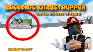 I bred Knabstrupper with every horse in Horse Valley