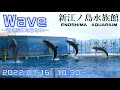 ◆えのすい　Wave～きみの波になりたい～（2022．07．16）10：30 ～◆本日からの新イルカショー第1回目【新江ノ島水族館】【4K60P】