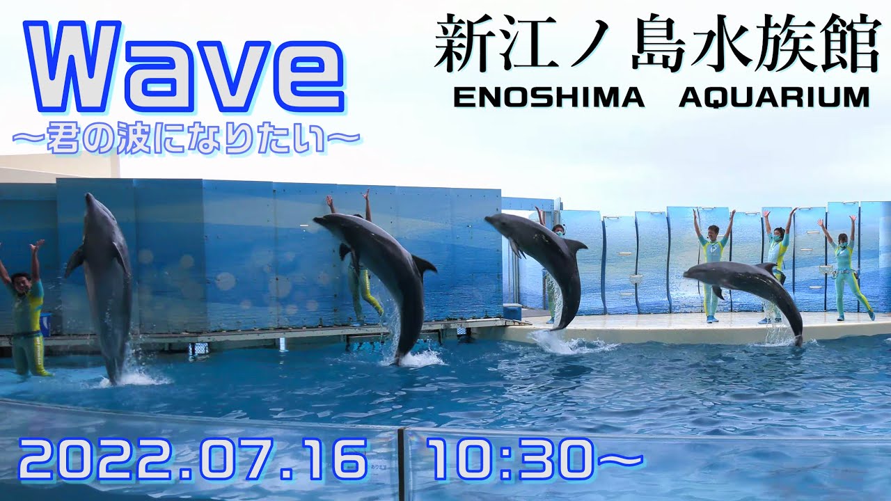 ◇えのすい Wave～きみの波になりたい～（2022．07．16）10：30