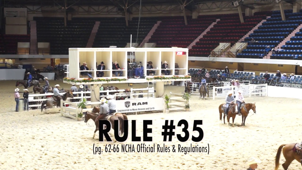 INSIDE THE JUDGES STAND: EPISODE 11 - RULES 