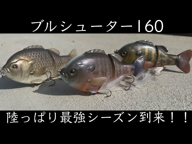 ギルネスト攻略法】誰でも簡単にギル型ビッグベイトでバスを騙せる時期
