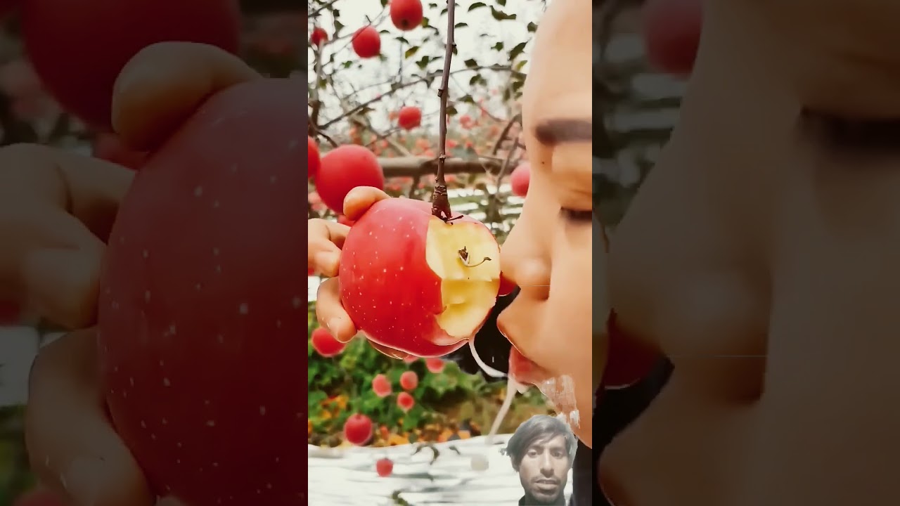 sev ki kheti 🤔👌🍓 