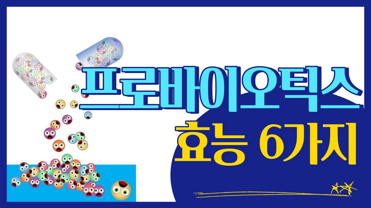 프로바이오틱스 효능 6가지