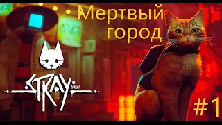 Мертвый город #1 Stray screenshot 4