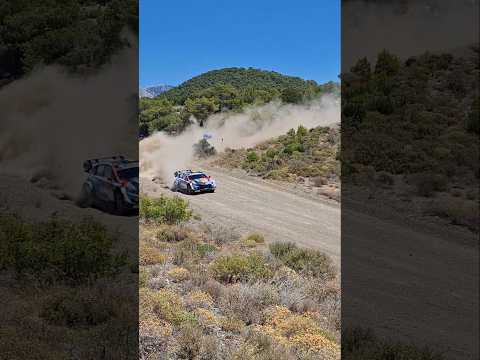 Video wrc acropolis rally 2026 Thierry Neuville two flat tires.