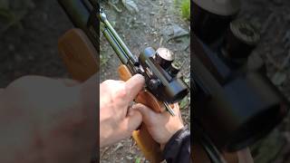 Rgun Bolt Cp1-m #shorts #co2 #airsoft #pelletguns #youtubeshorts