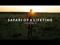 MASAI MARA Tales Of A Maasai Safari Guide 