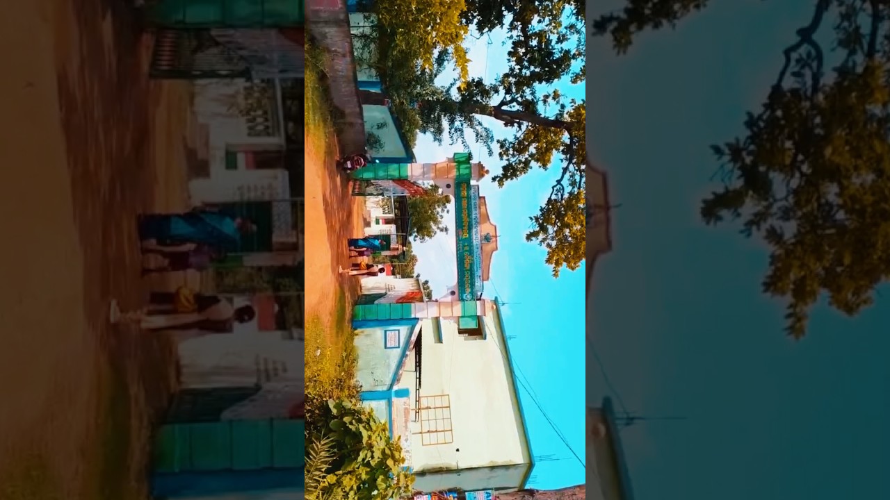 baisinga Mahatma Gandhi College 