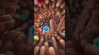 Universe Biotech Multi – Complete Daily Nutrition for Peak Performance
