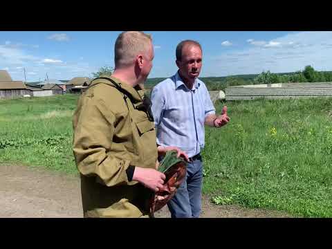 Ветеринарный врач из Сурского района рассказывает о черной мошке