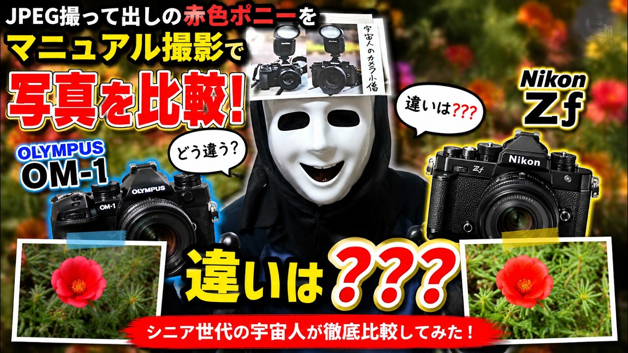 Nikon Zf と OLYMPUS OM-1 でマニュアルフォーカスに慣れるため赤色