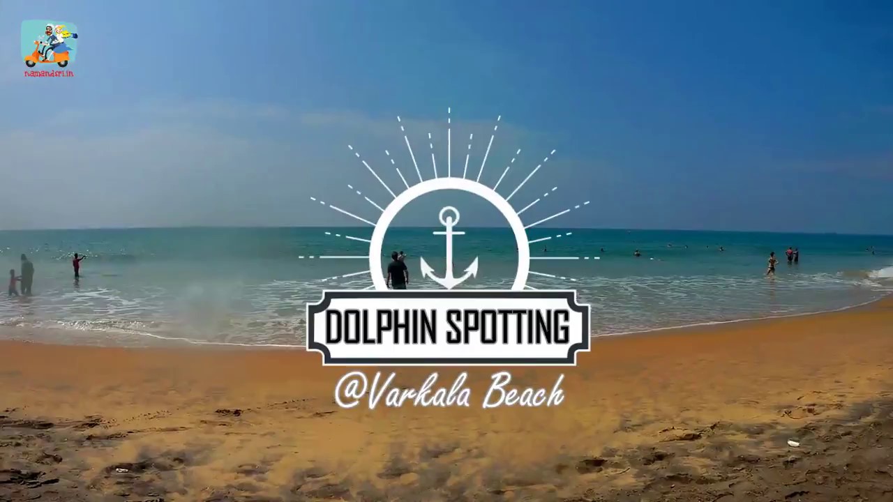 Dolphin Spotting at Varkala Beach
