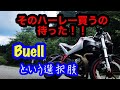 そのハーレー買うの待った！【ビューエルのすすめ】Buellという選択肢もあるよ。ビューエルに乗りながら独り言。Buell XB12Scg GPR Exhaust harley davidson