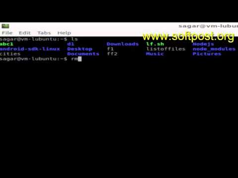 How to force delete a file in Bash