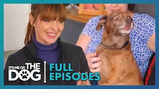 Rescue Dog’s Barking Caused a Car Crash! | Season 2 Episode 15 | It's Me or the Dog UK (2021)