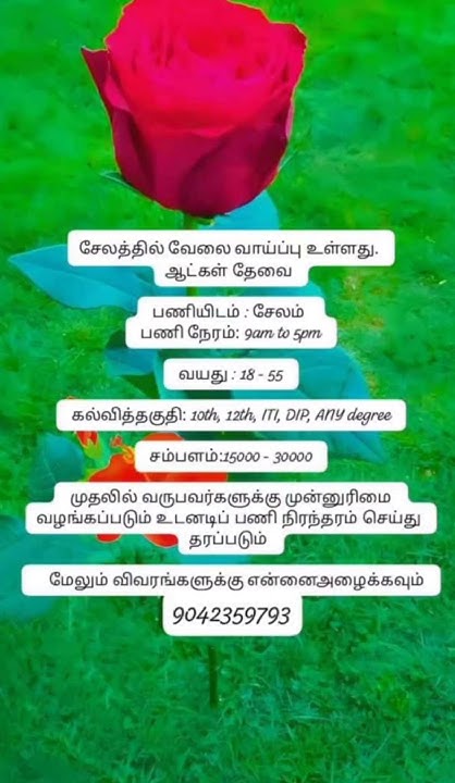 Salem Job Vacancy job jobvacancy salemjobs salem work salem-job-vacancy-job-jobvacancy-salemjobs-salem-work