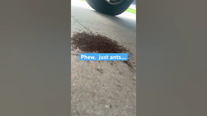 Leaking Fluid #cars #broken #leak #mechanic