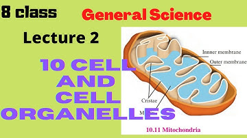 # cell and cell organelles class 8 maharashtra state board | lecture 2 | @maha semi english.