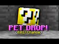 How I Got The Rarest Pet Drop (Hypixel Skyblock)