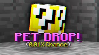 How I Got The Rarest Pet Drop (Hypixel Skyblock)