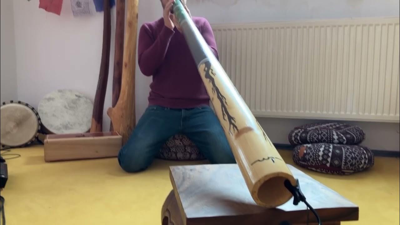 Didgeridoo Solo on the Kickstarter by windproject YouTube