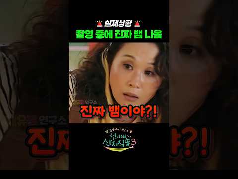 촬영 중에 진짜 뱀이 나온 긴급사태 #<strong>tvN</strong> #언니네산지직송3 #loWUI